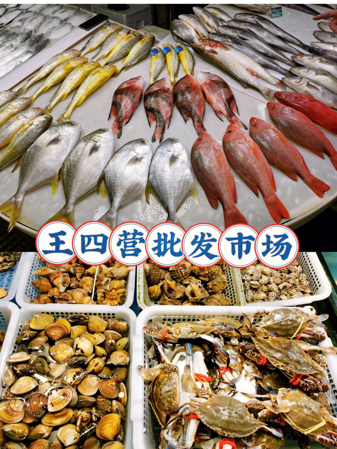 王四营地区最大的批发市场其中最有名的是市场里的海鲜批发所以h很多