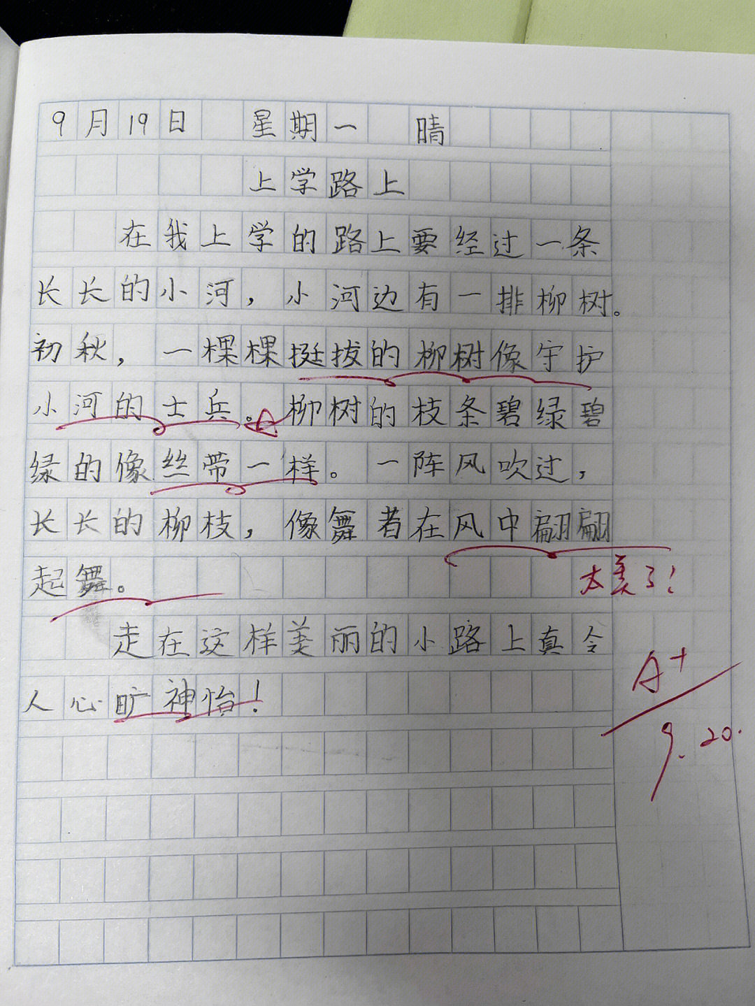 课后小练笔#老师的日常#小学语文#三年级上册语文#家有小学生