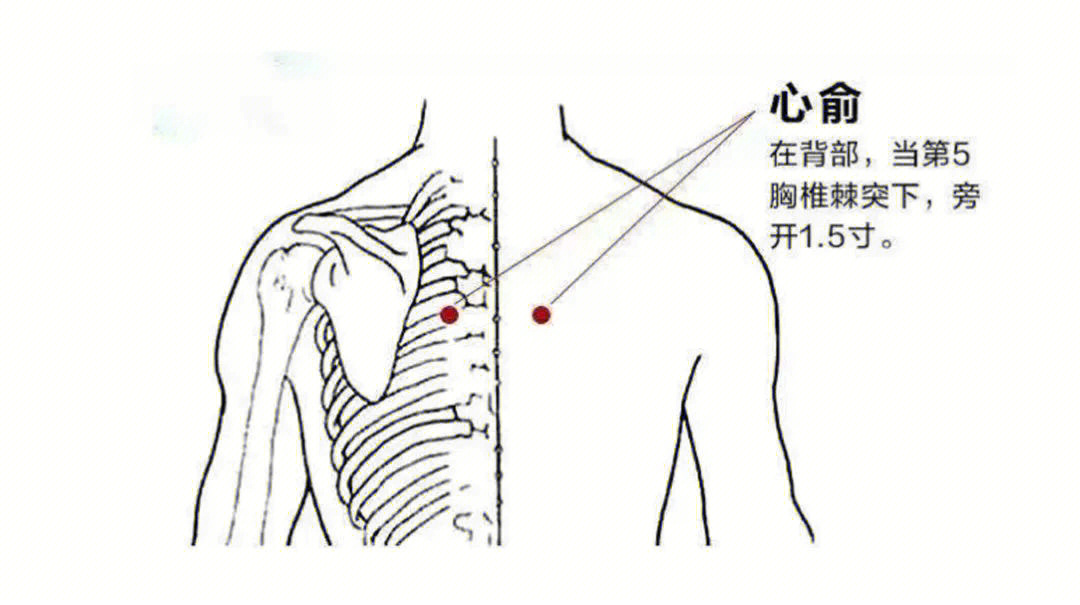 心平的准确位置图图片