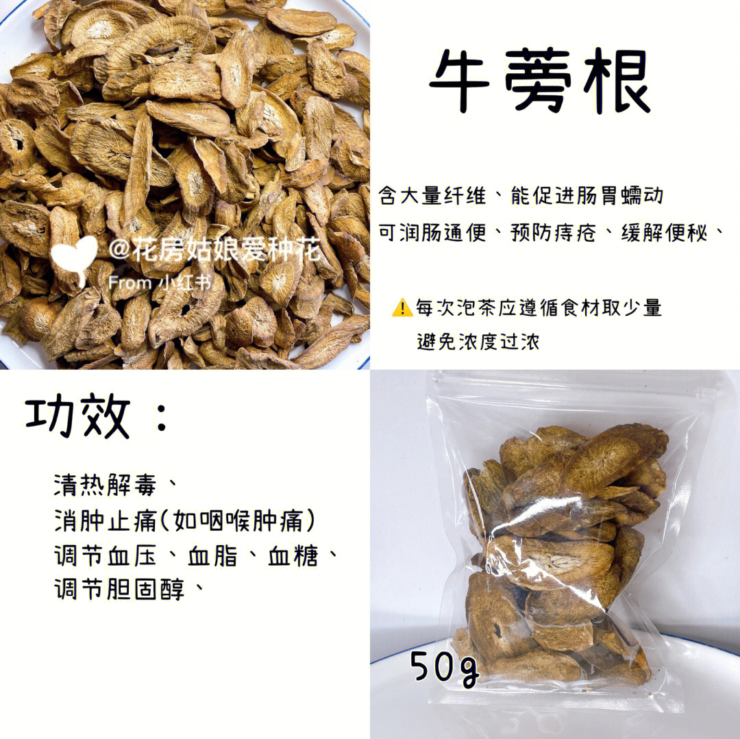 清热解毒消肿止痛的牛蒡根