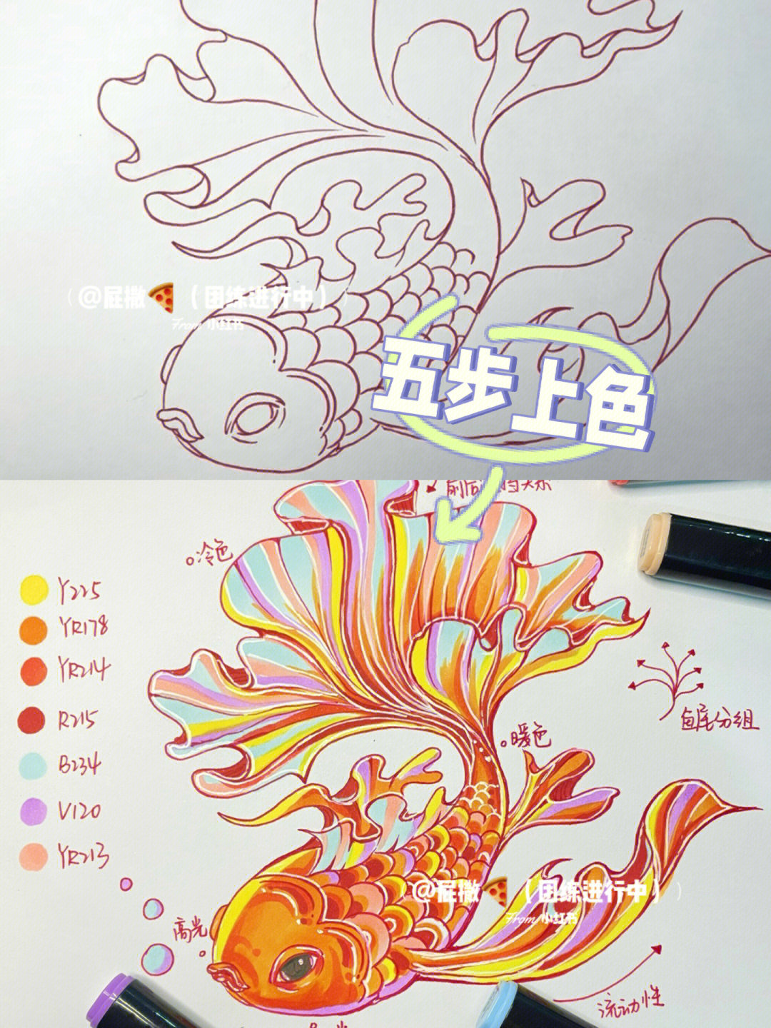 万能国潮锦鲤鱼的马克笔上色步骤技巧配色