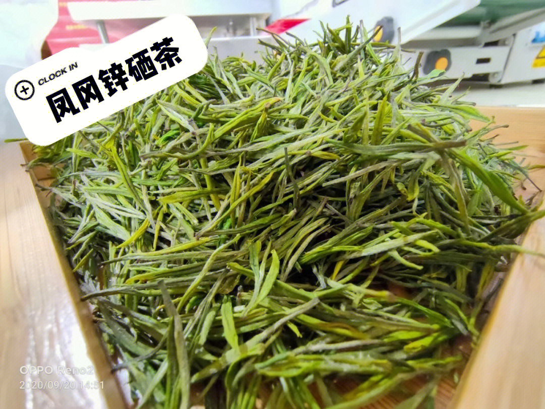 凤冈锌硒茶