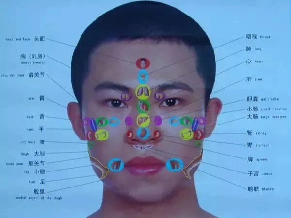 额头反射区图图片