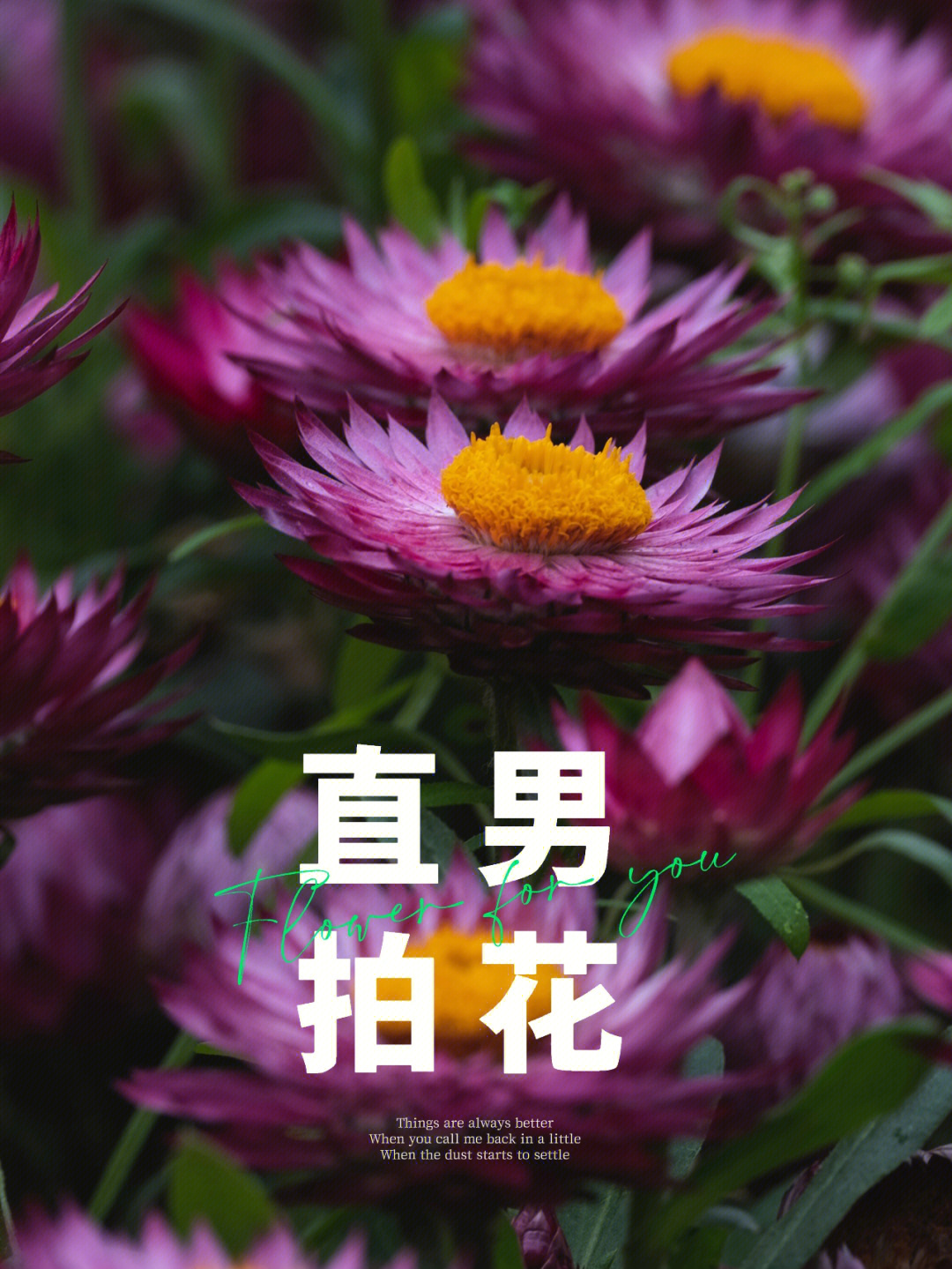 直男拍花40