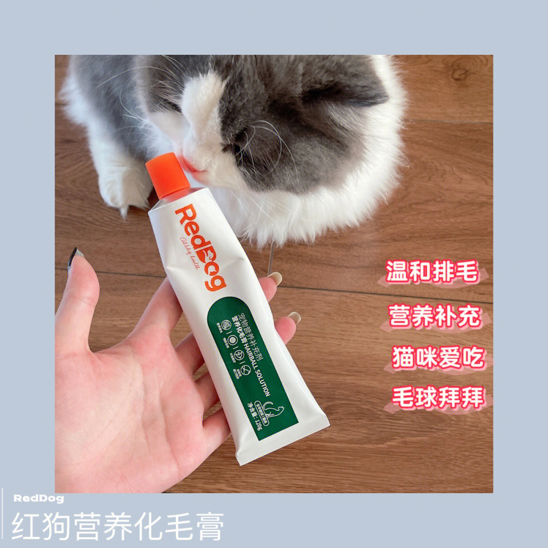 毛孩子 养猫必备化毛膏