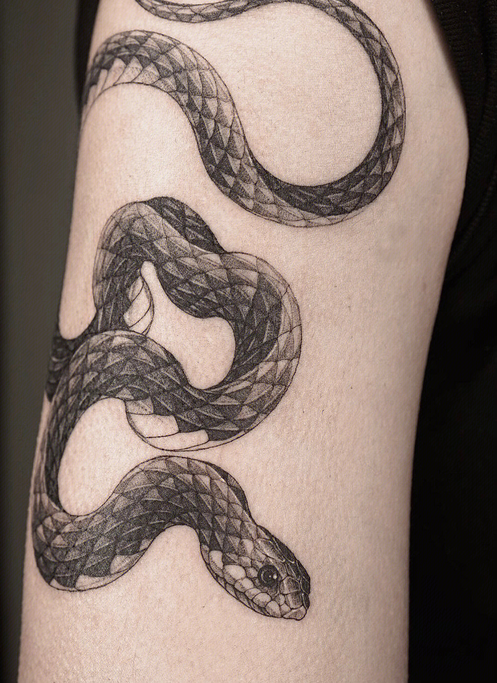 百步蛇纹身图片