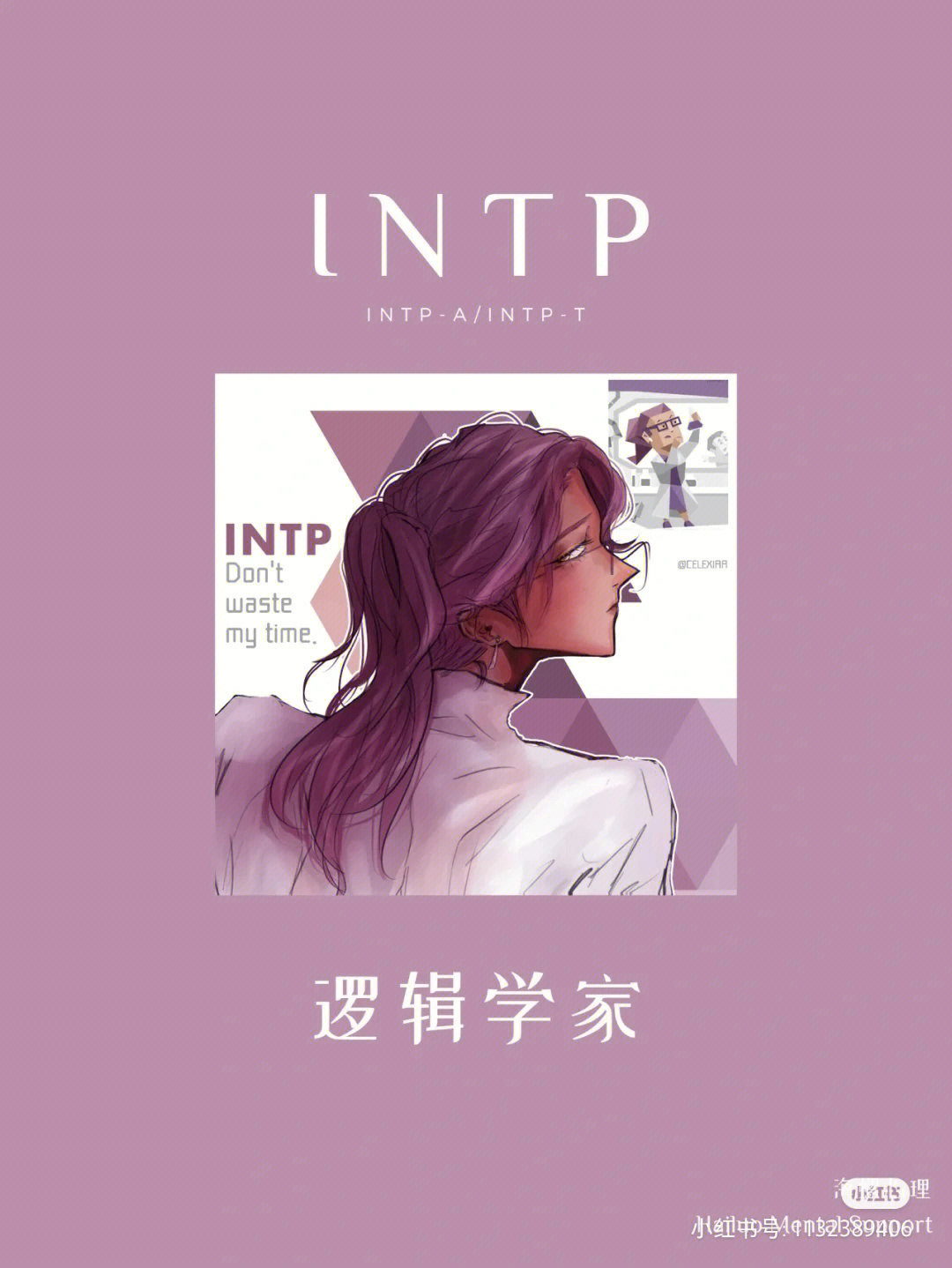 intp-t图片