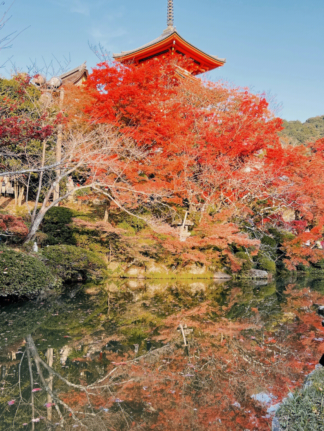 11月的京都清水寺