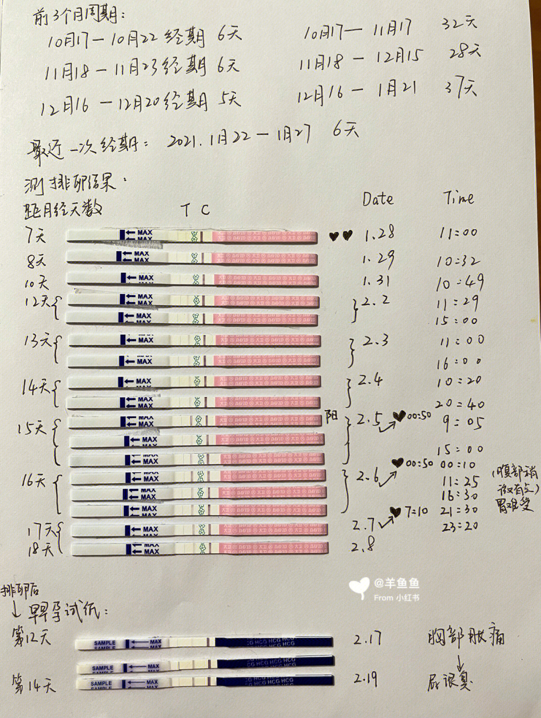 2021年生牛备孕表 怀孕图片