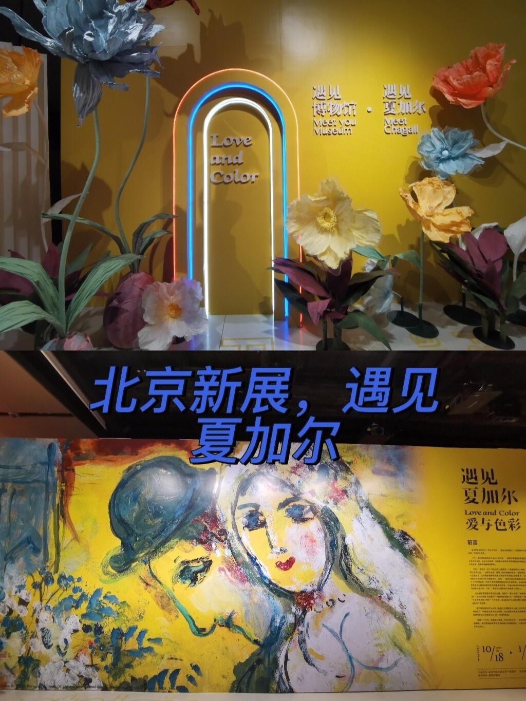 夏加尔展览北京图片