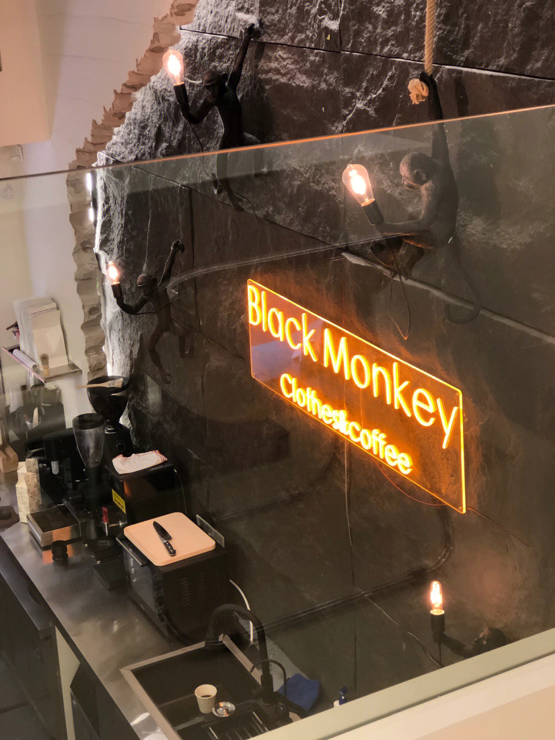 blackmonkey黑夜组图片