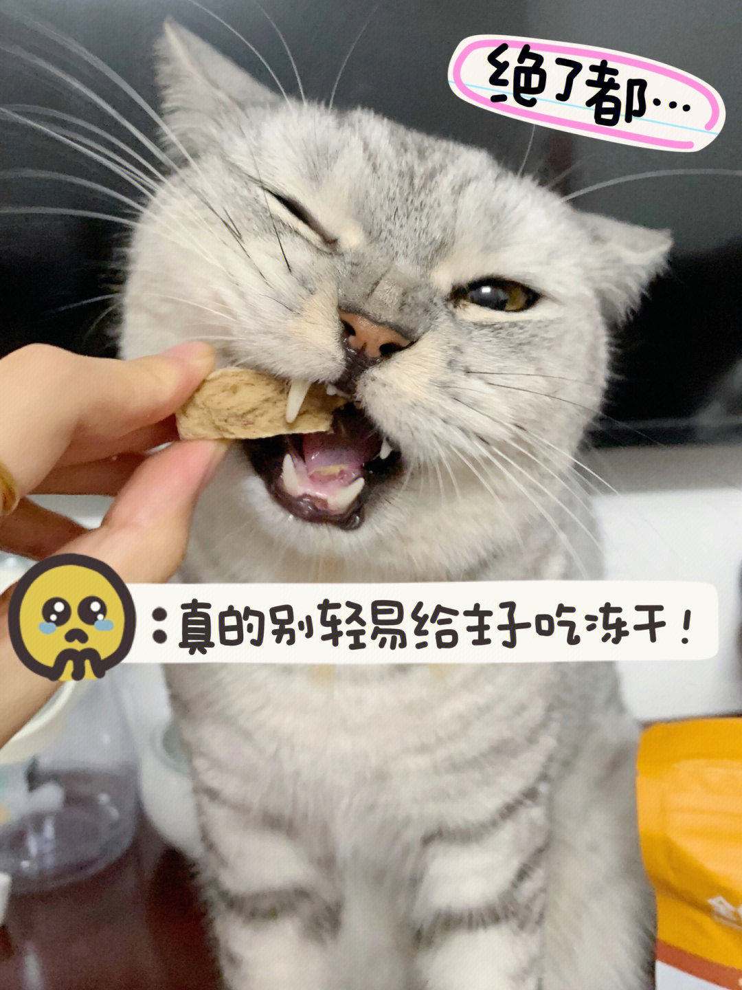 猫咪主食冻干测评推荐78养出健康小猫咪