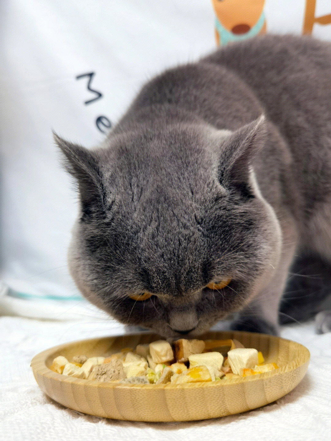 溯食粮这款猫咪主食冻干我不相信你们没听