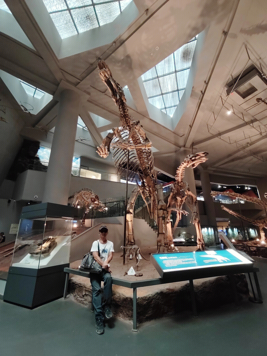在北碚自然博物馆打卡恐龙化石