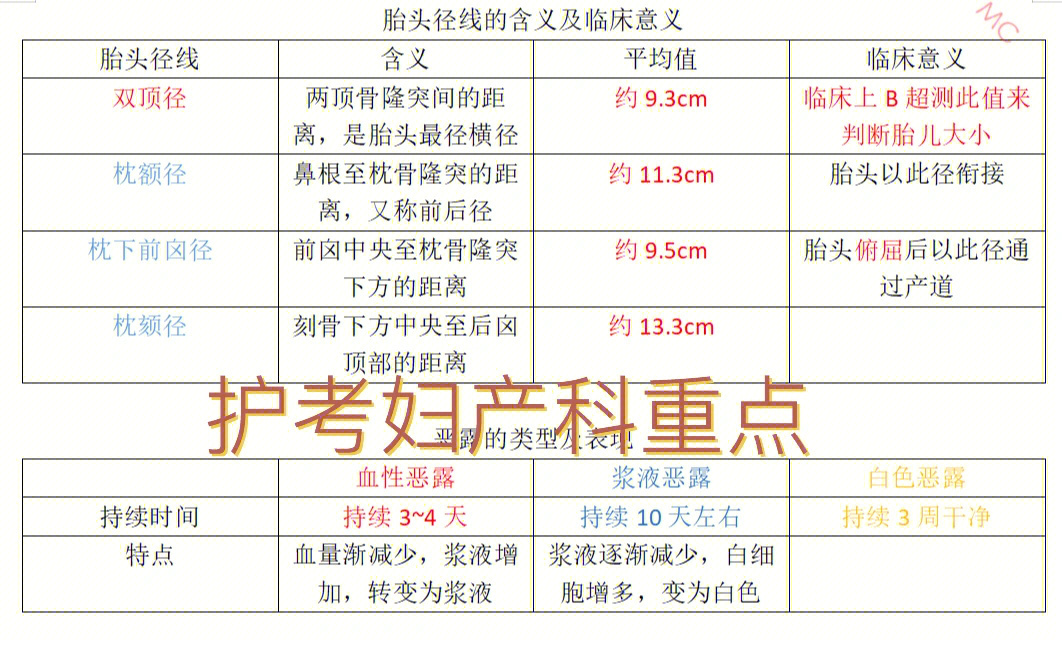 胎头四条径线图片