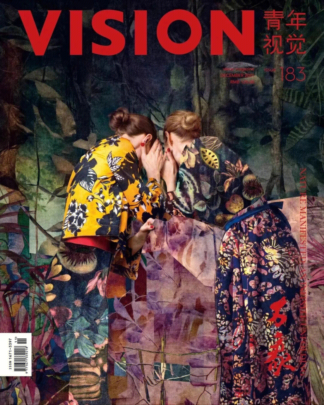 vision杂志停刊图片