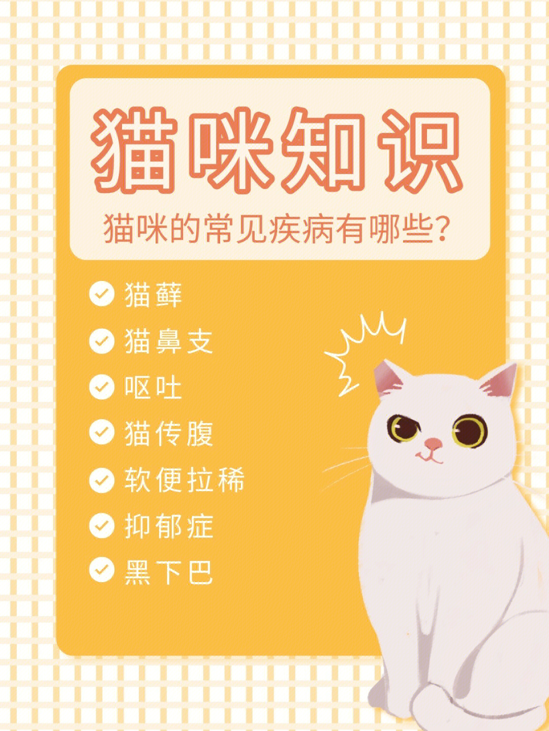 猫咪科普知识丨猫咪的常见疾病有哪些