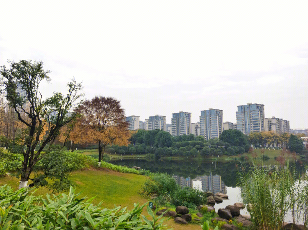 重庆主城公园排行榜图片