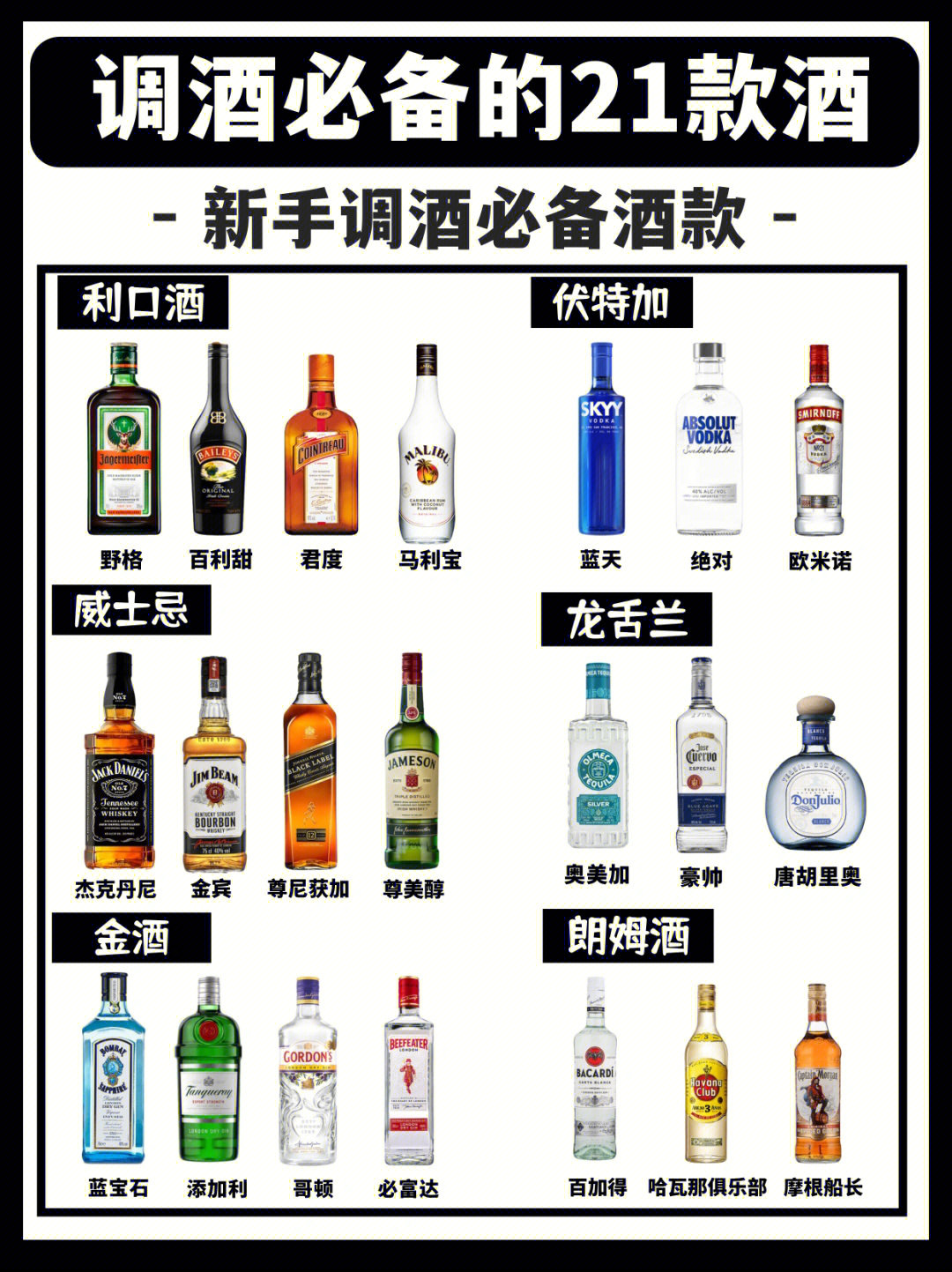 酒吧酒的种类及照片图片