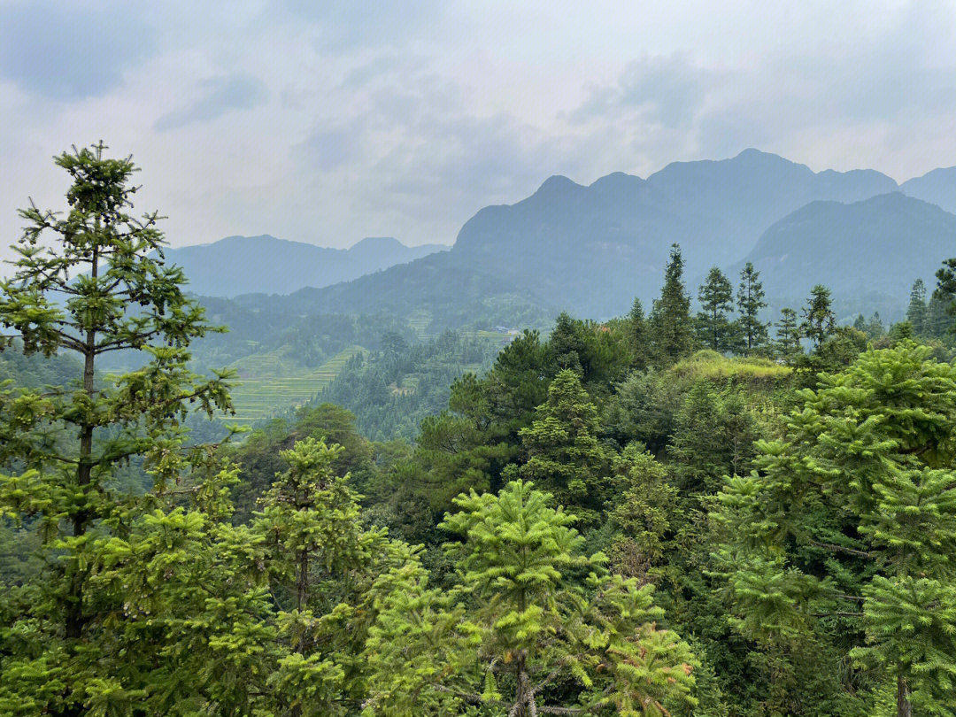 融水元宝山自驾上山图片