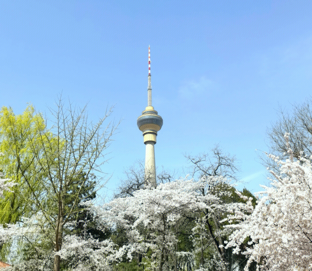 春暖花开,周末出来溜达了,从西门走进玉渊潭公园,公园是4a级景区,位于