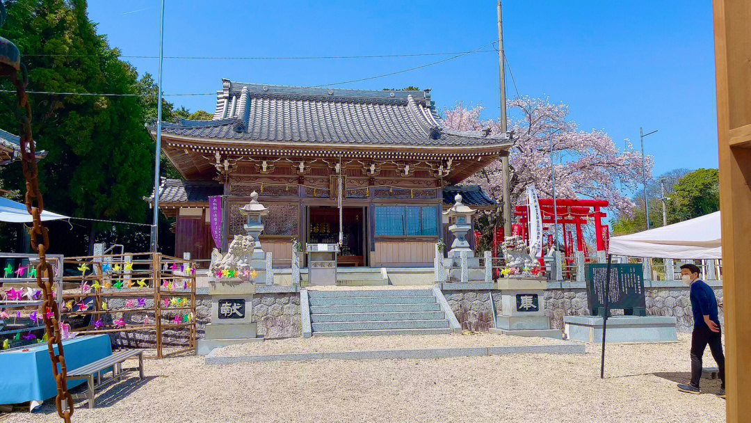 皮卡堂樱花神社婚纱照图片