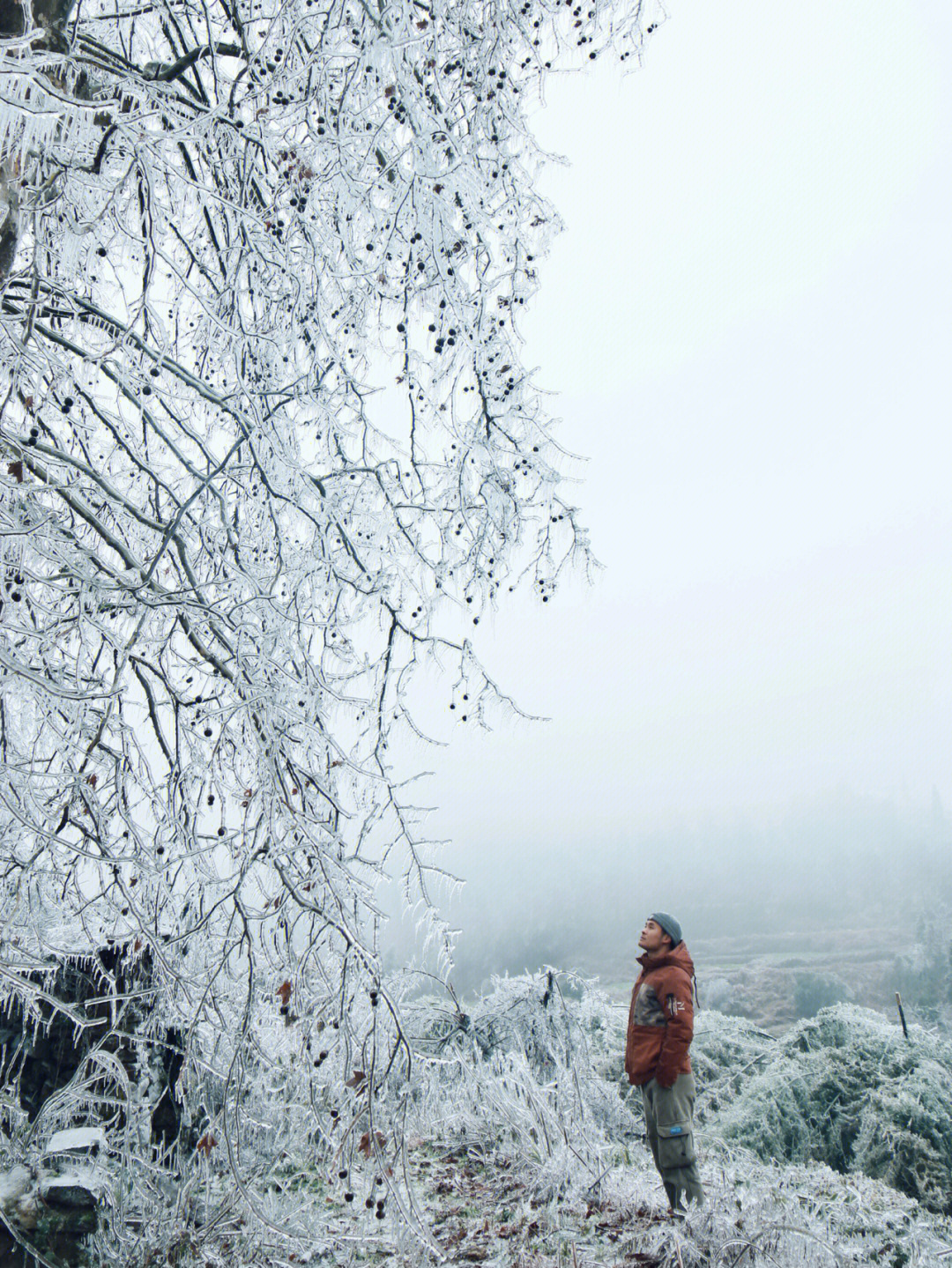 韶关下雪记录图片