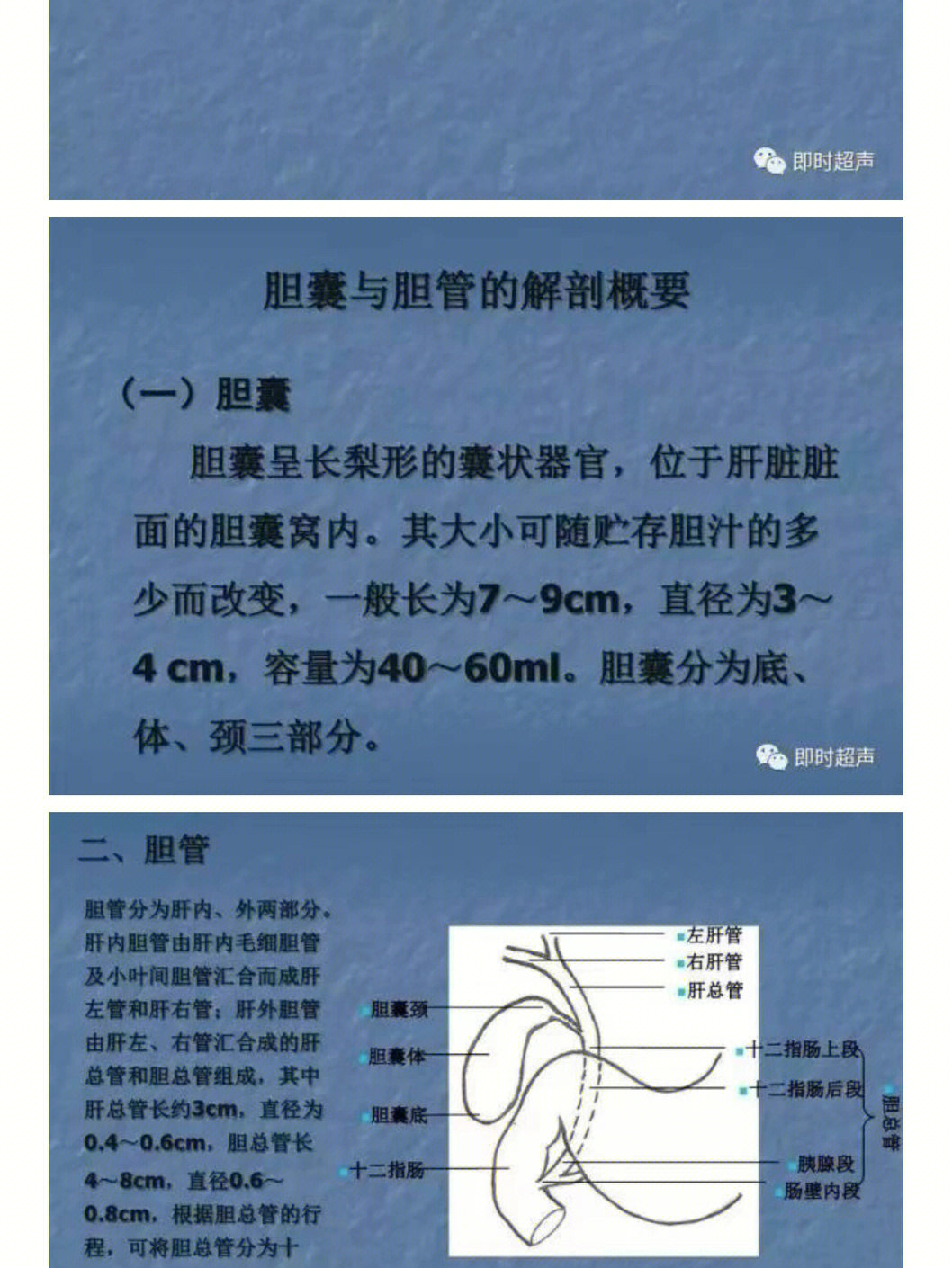 腹水的超声测量图解图片