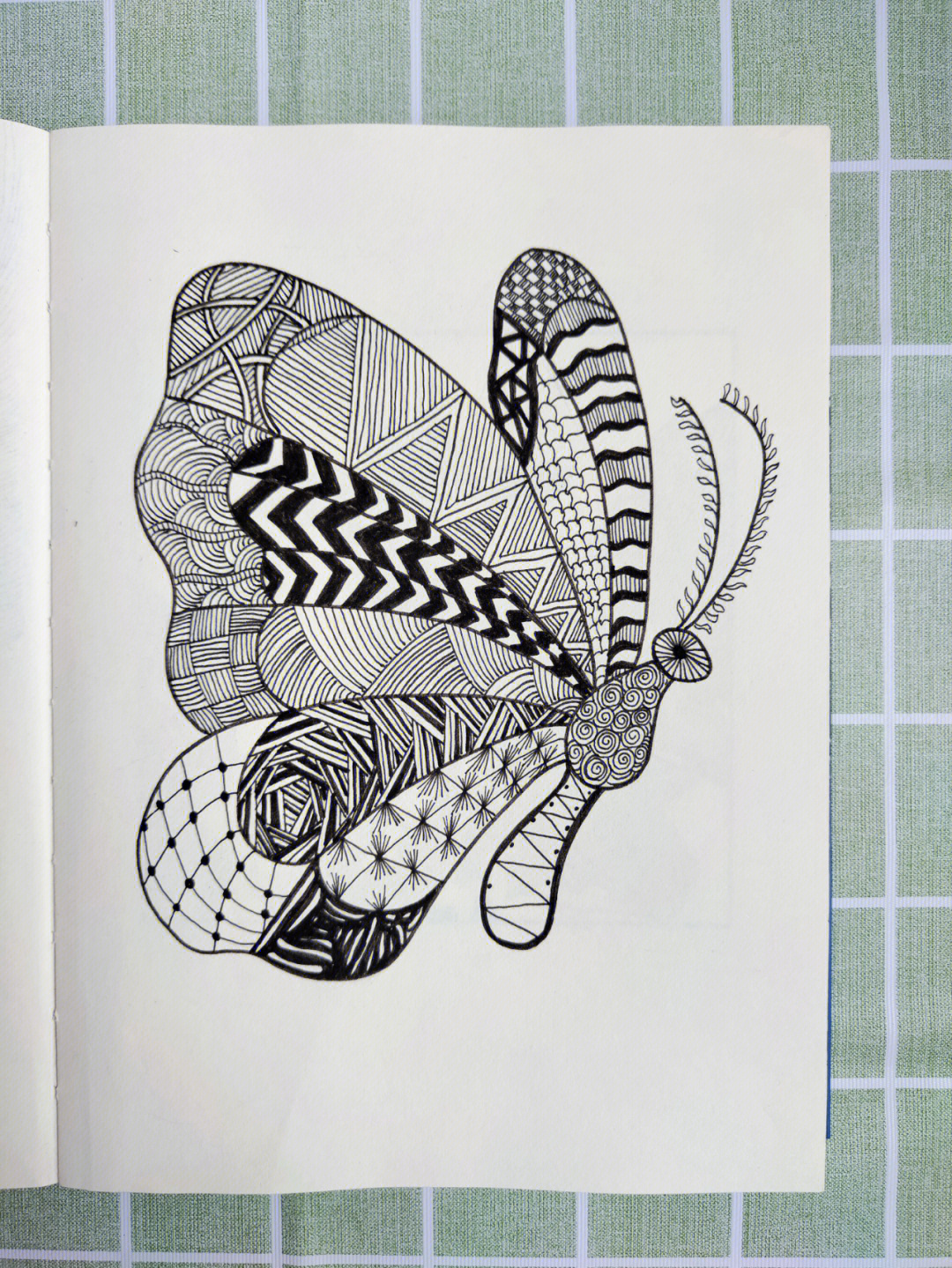 蝴蝶动物线描画51100