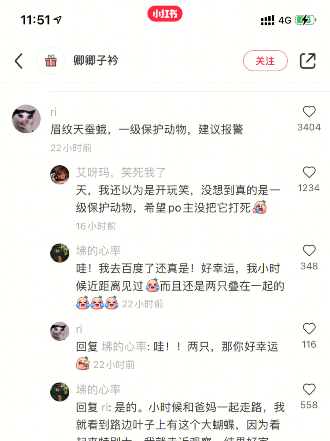 天蚕蛾保护等级图片