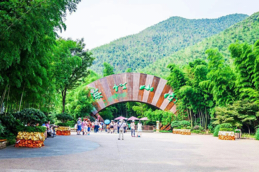 南山竹海风景区简介图片