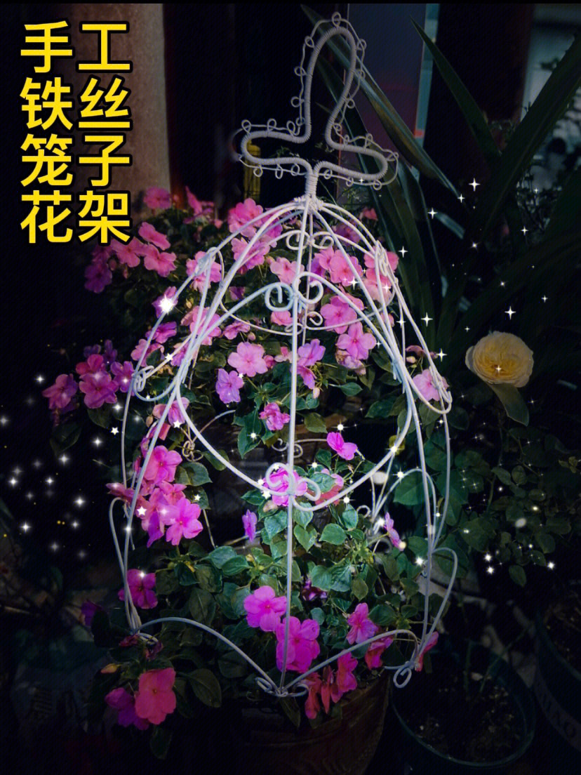 铁丝做花架步骤图片