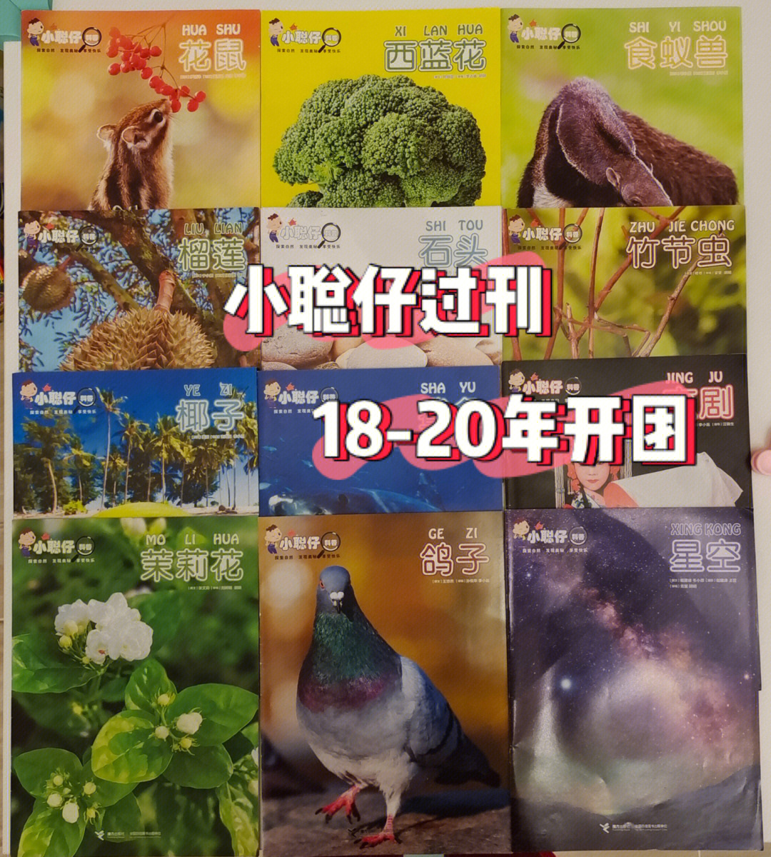 不可错过的小聪仔过刊返团