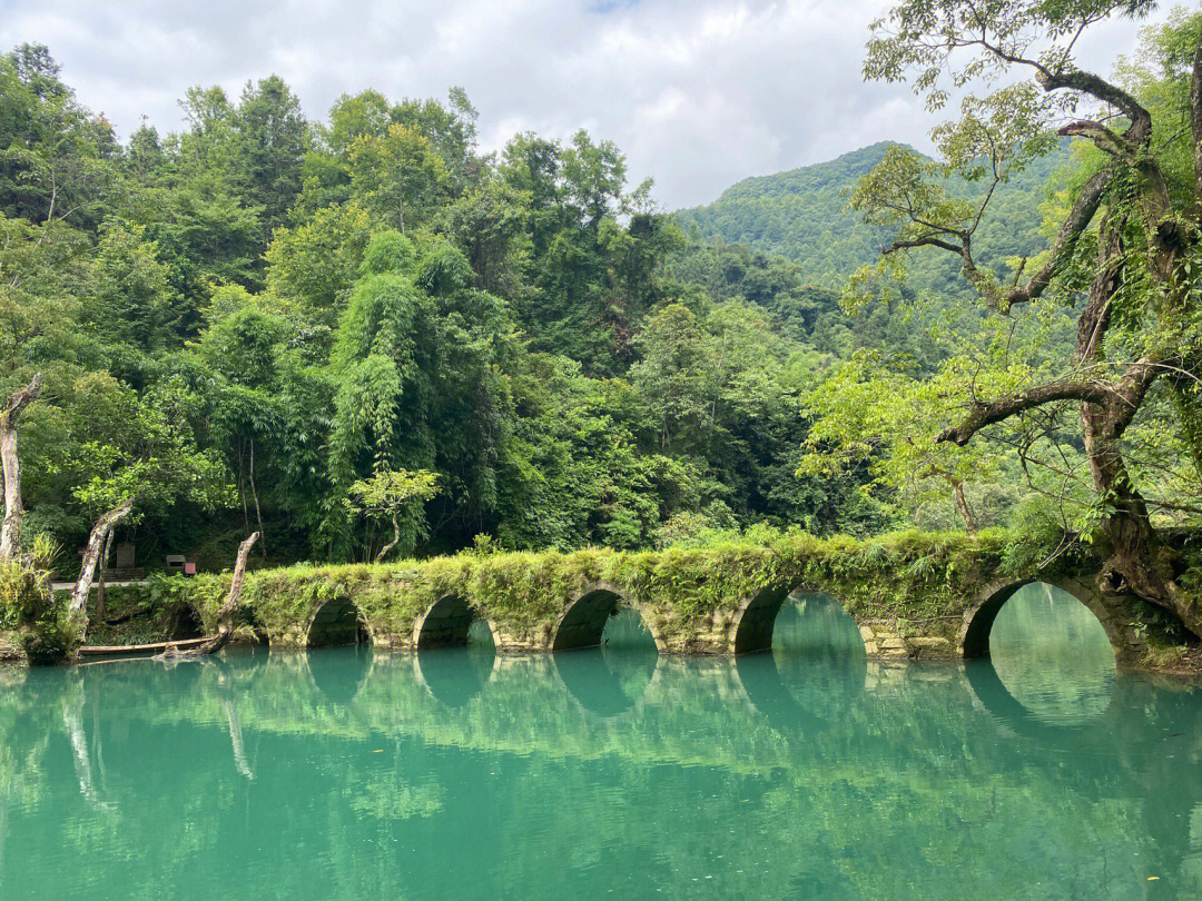 茂兰景区攻略图片