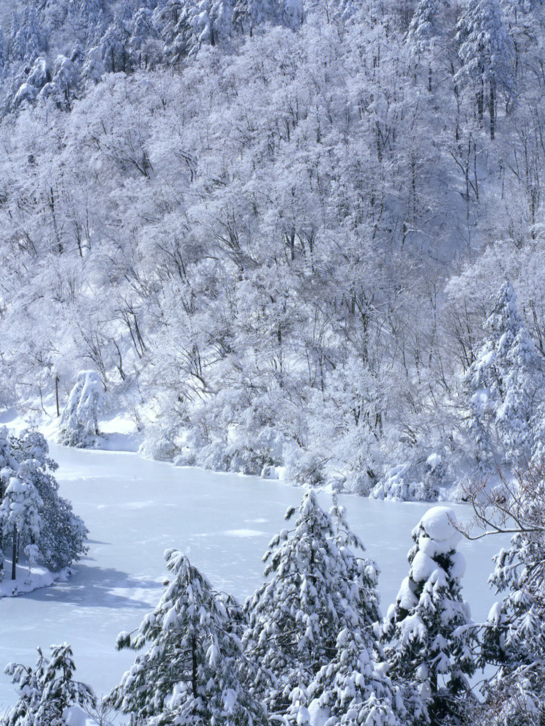 杭州大明山南方人第一次见雪山