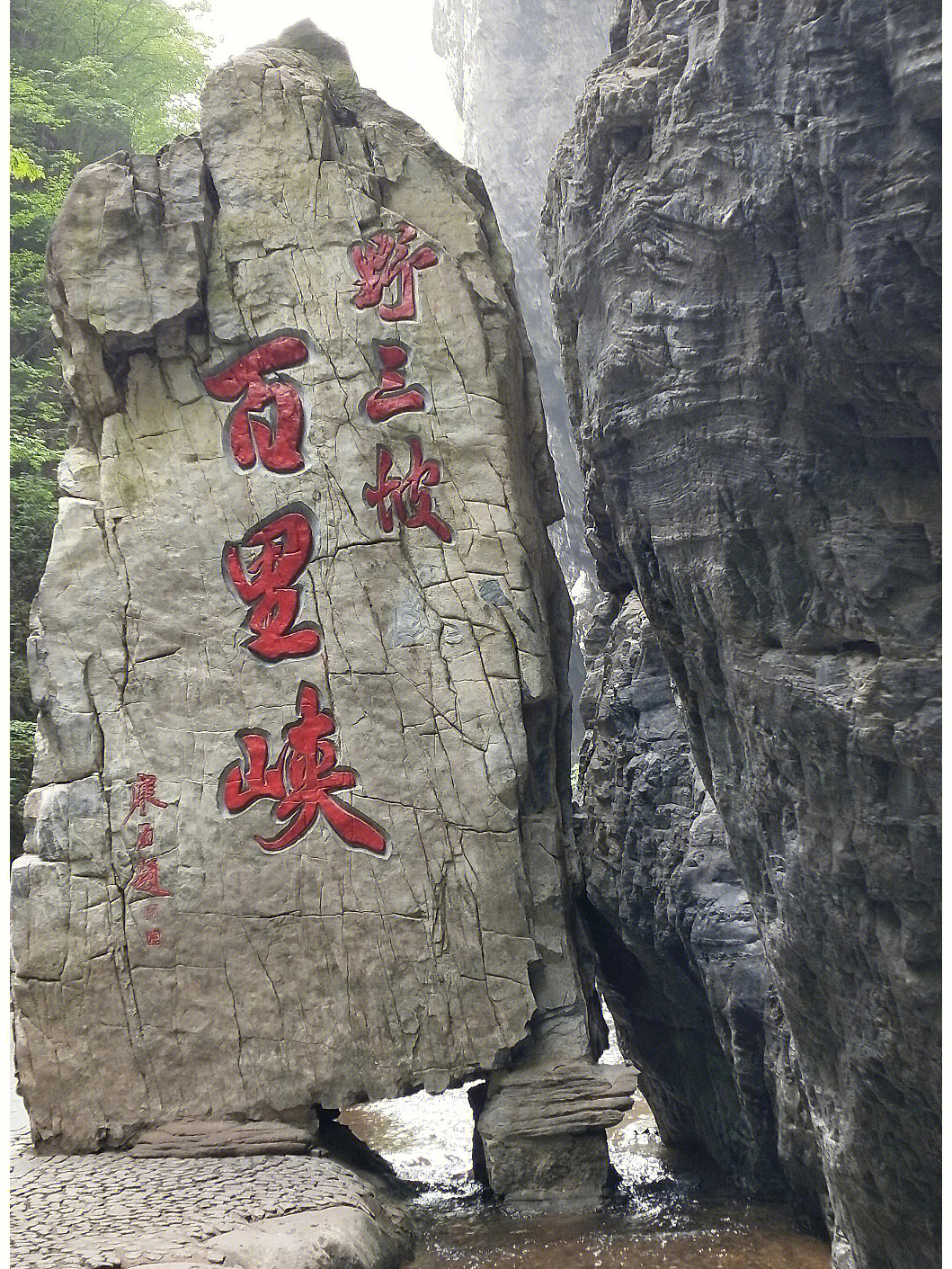 野山坡的景物介绍图片