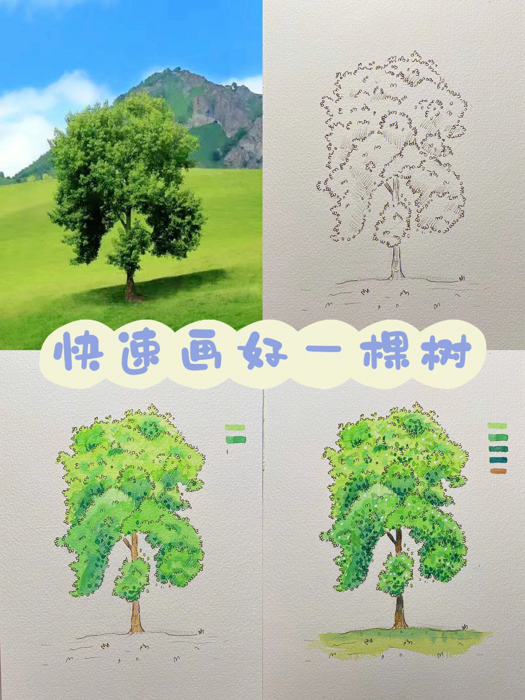 线描淡彩画一棵树图片