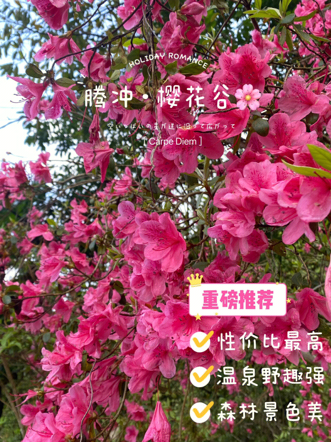 腾冲樱花谷温泉门票图片