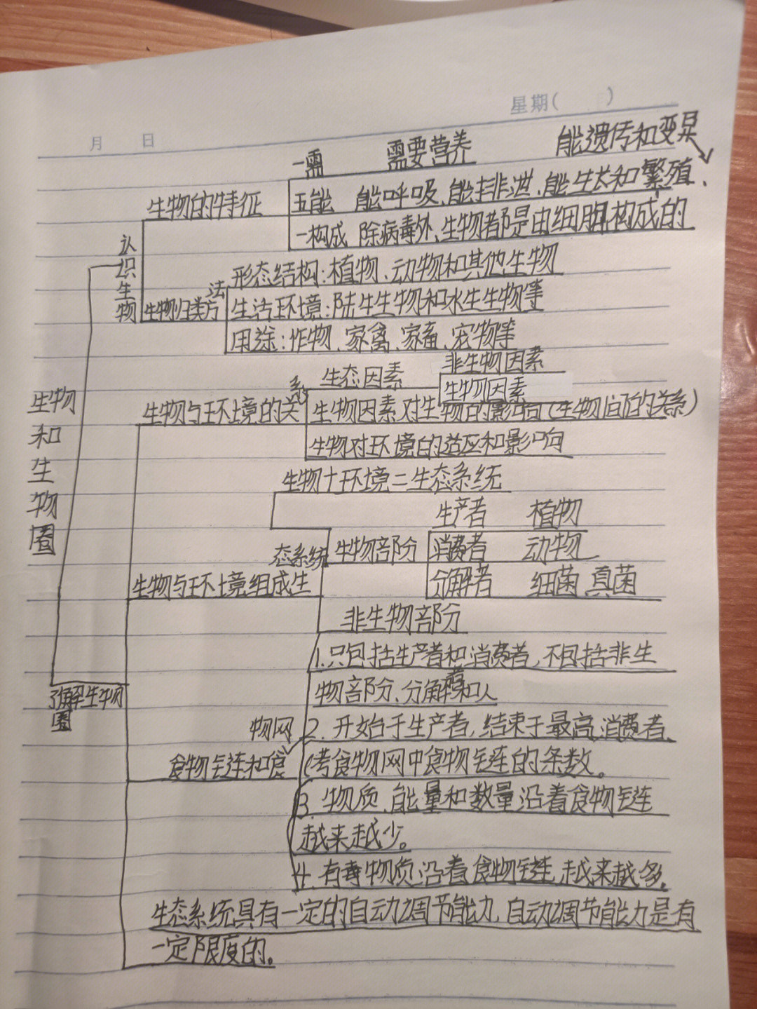 生物概念图 上册图片