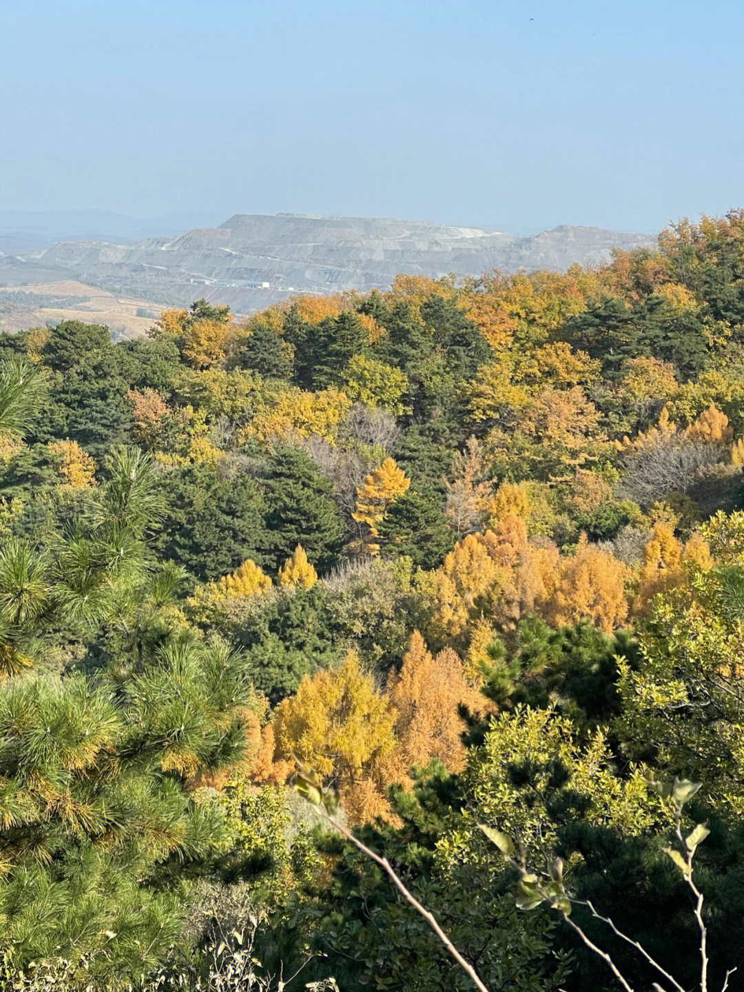 沈阳马耳山风景区图片图片