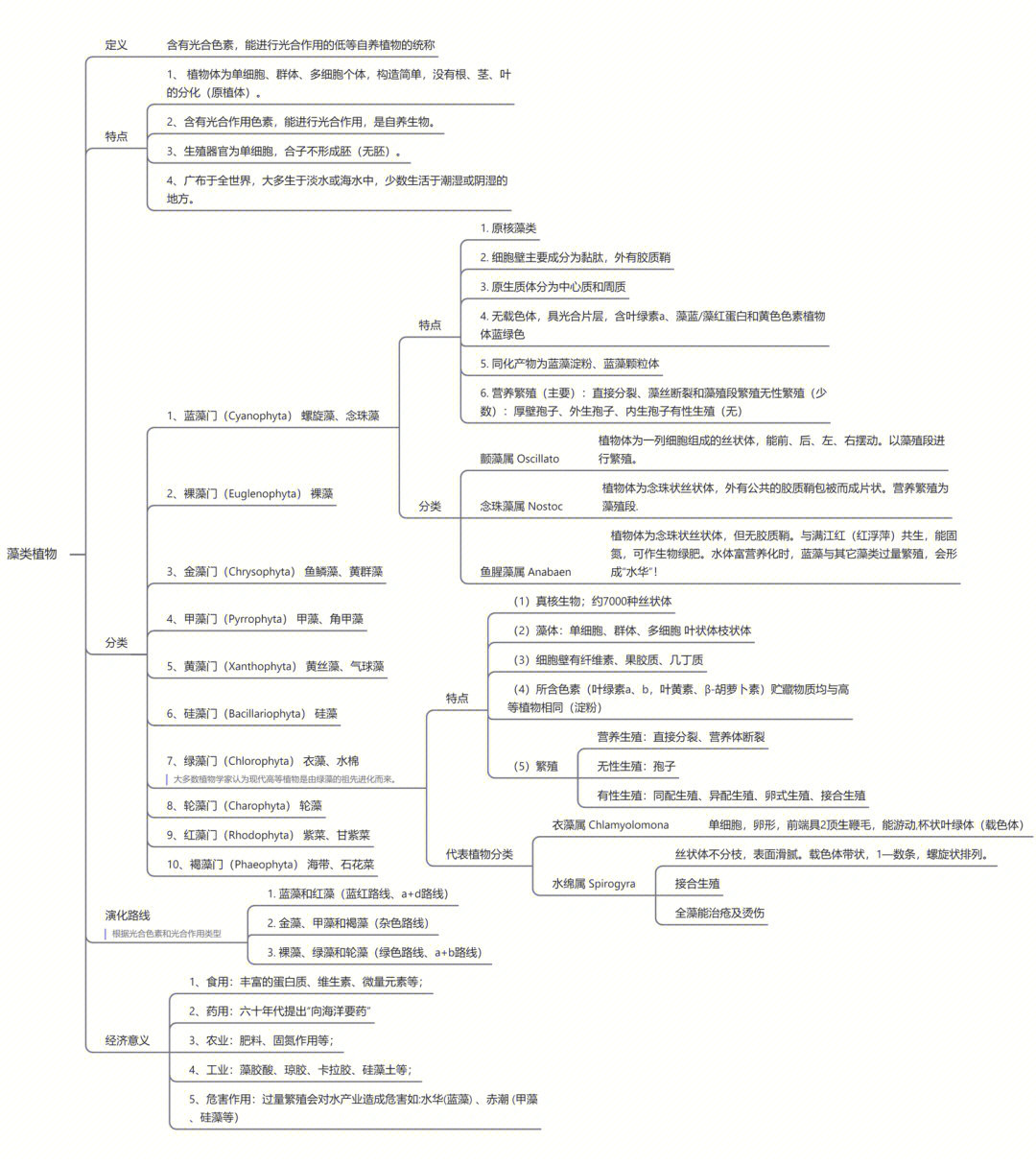 植物学根的思维导图图片