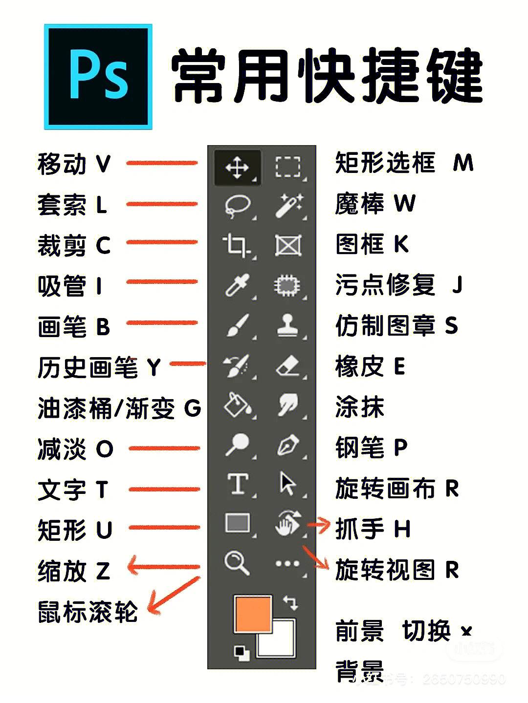 ps放大缩小快捷键图片