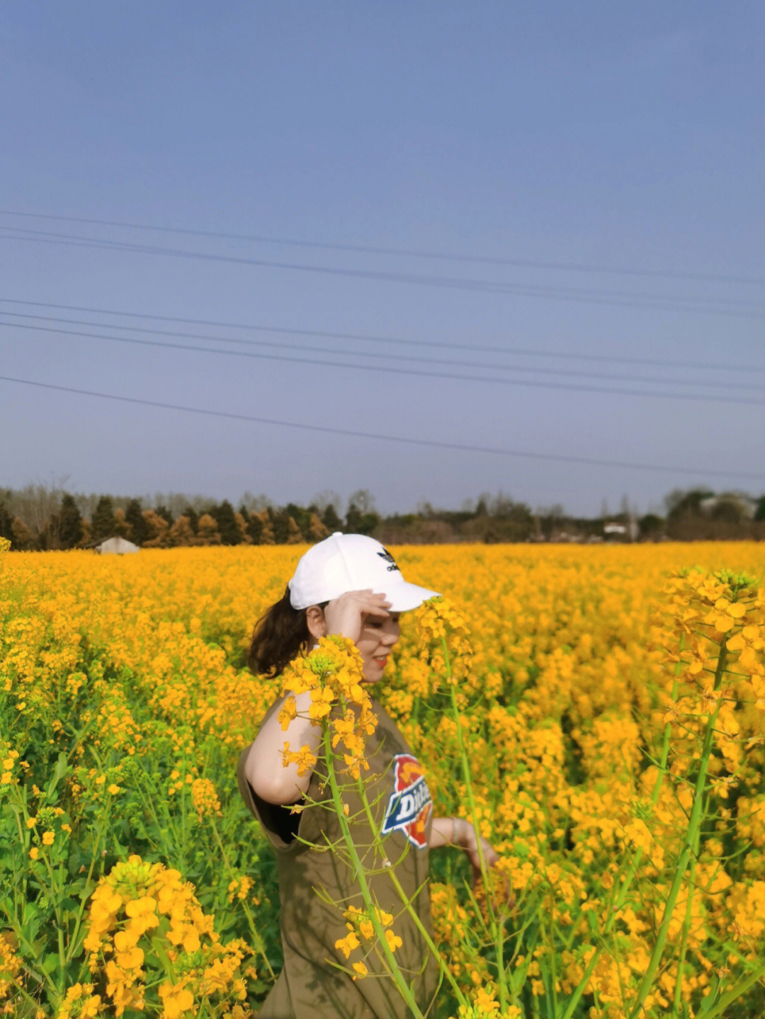 大家快去崇州油菜花海打卡拍照吧