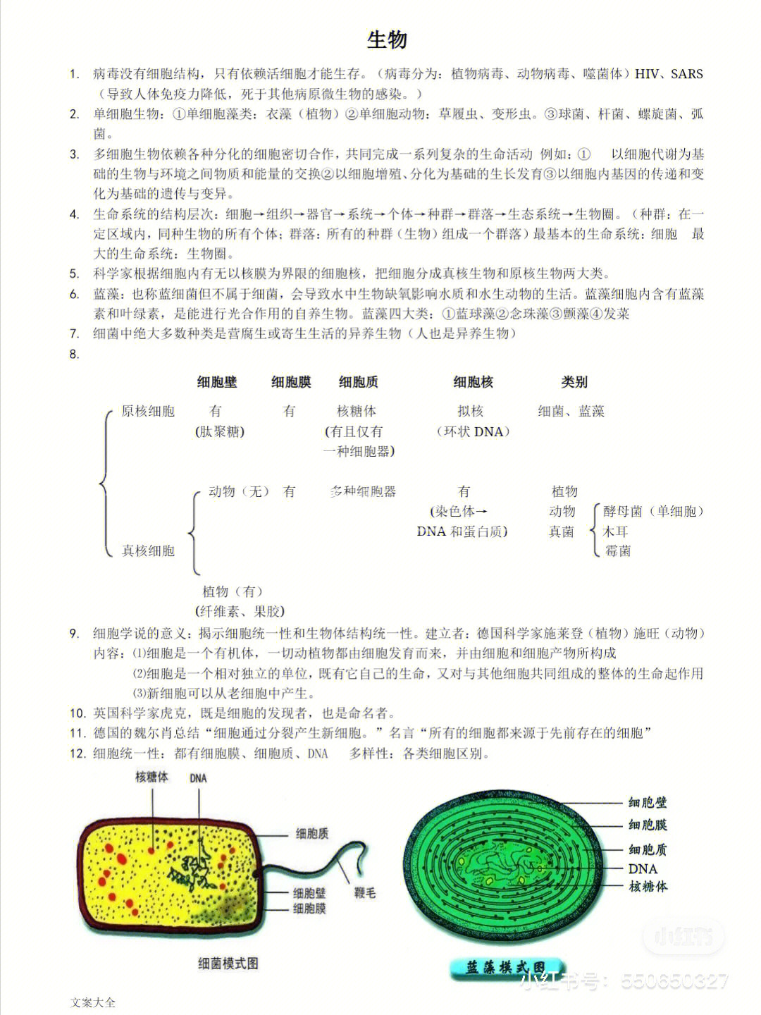 高中生物最污知识点图片