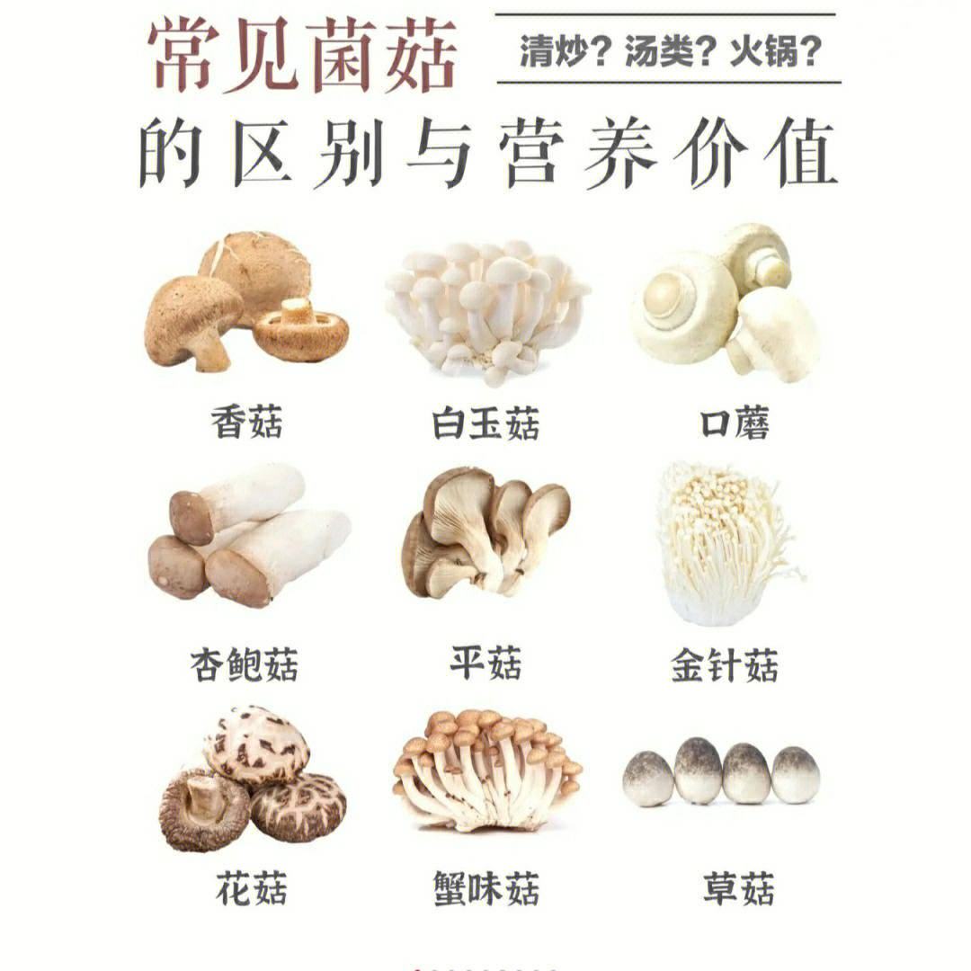 平菇营养成分表图片
