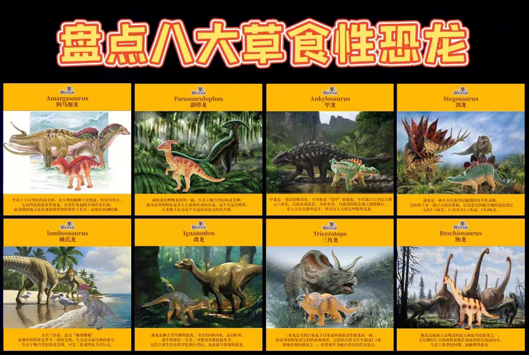 食草恐龙名字和图片图片