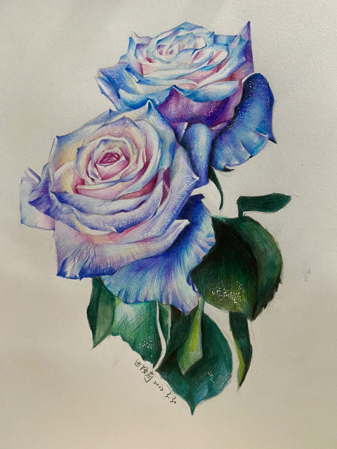 彩铅画玫瑰花简单图片
