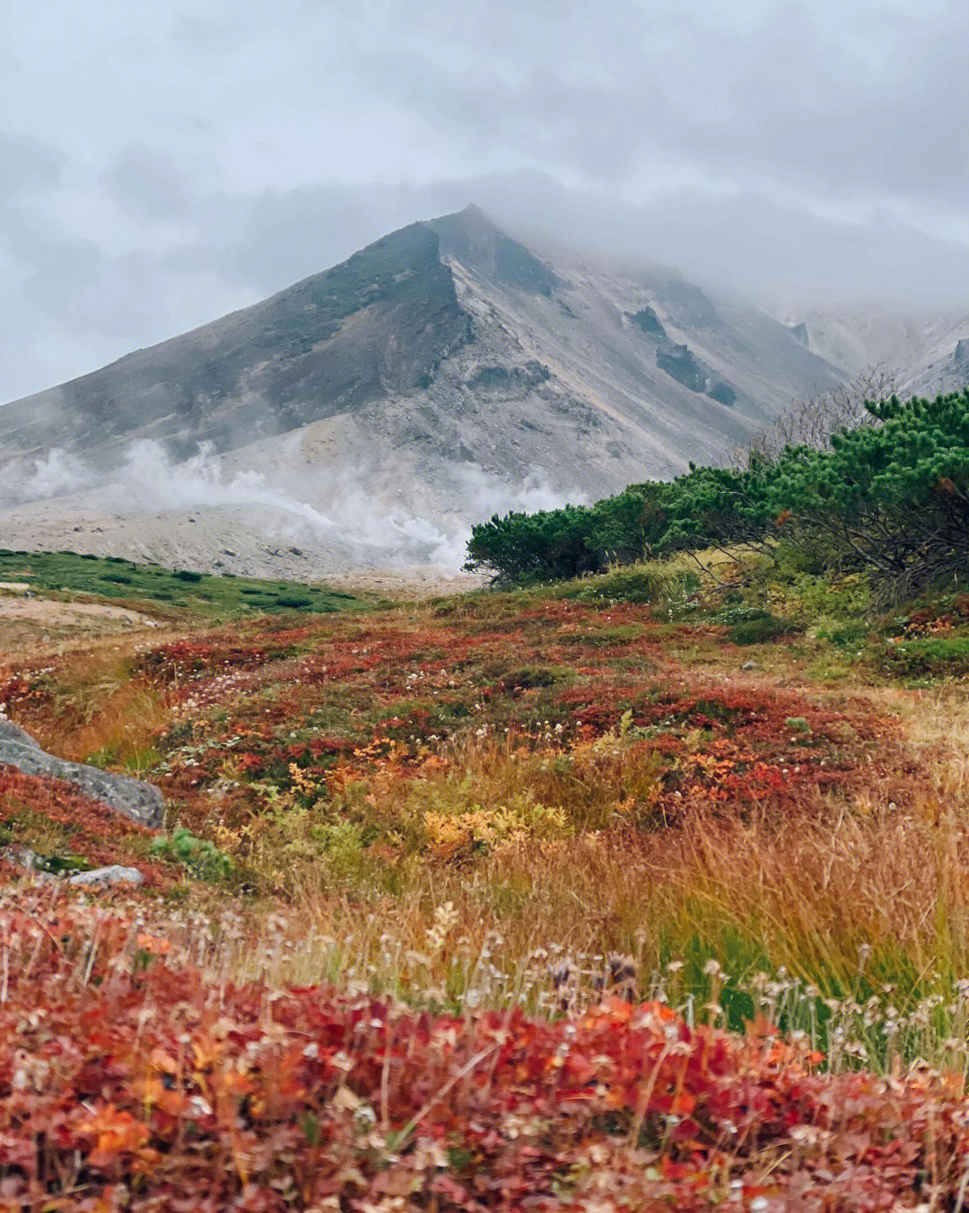 日本徒歩北海道