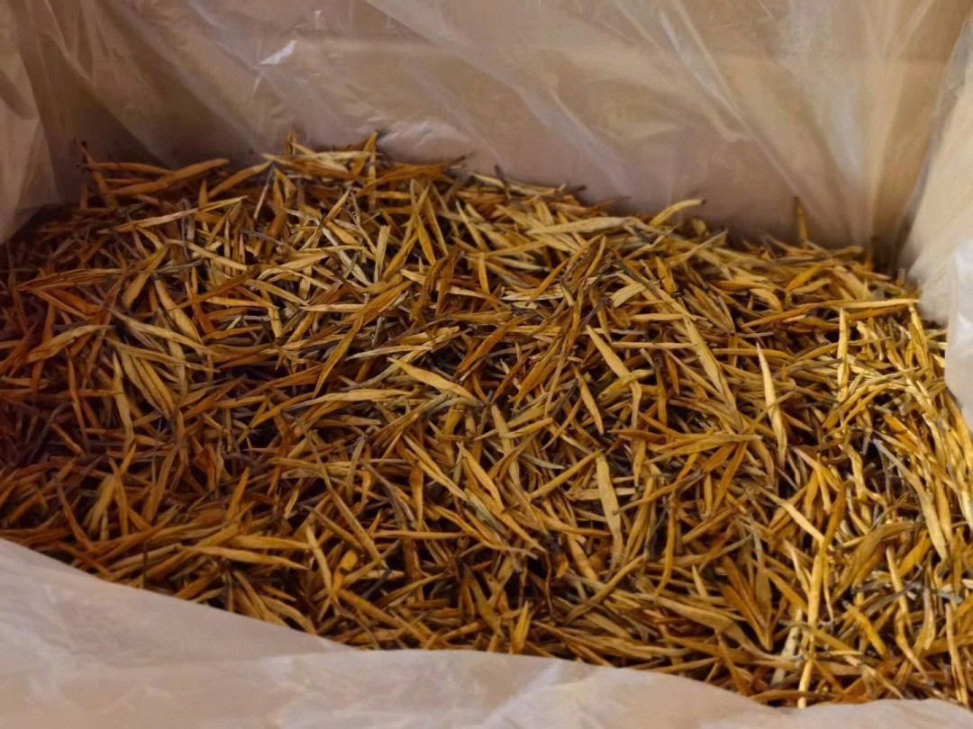 大金针:是滇红茶中的一个较新品种,云南茶人在大宗滇红工夫茶工艺的