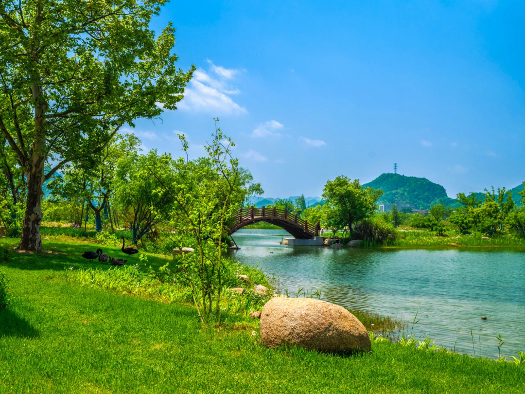 富阳阳陂湖湿地公园图片